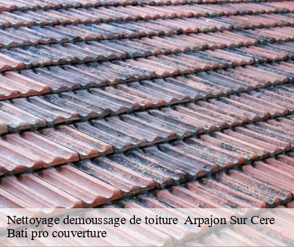 Nettoyage demoussage de toiture   arpajon-sur-cere-15130 Bati pro couverture