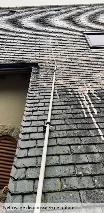 Nettoyage demoussage de toiture   badailhac-15800 Bati pro couverture