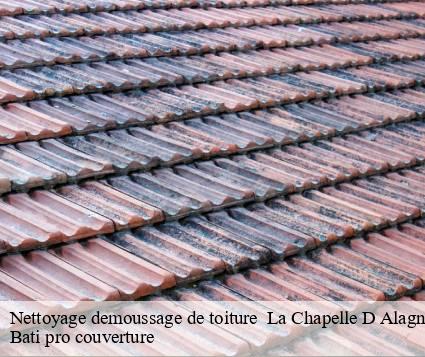 Nettoyage demoussage de toiture   la-chapelle-d-alagnon-15300 Bati pro couverture