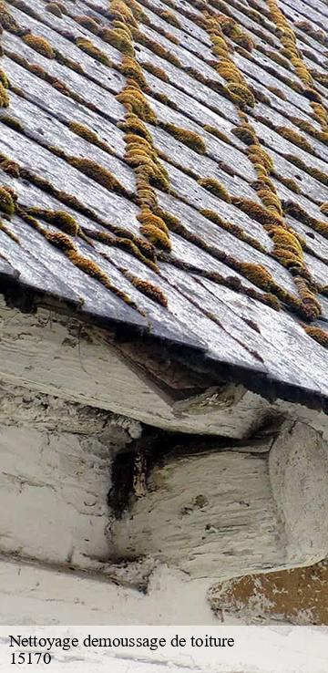 Nettoyage demoussage de toiture   ferrieres-saint-mary-15170 Bati pro couverture