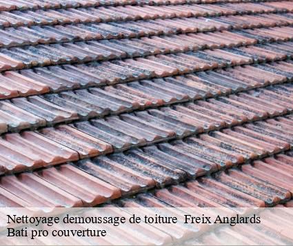 Nettoyage demoussage de toiture   freix-anglards-15310 Bati pro couverture
