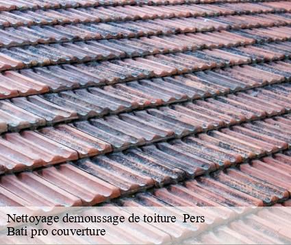 Nettoyage demoussage de toiture   pers-15290 Bati pro couverture