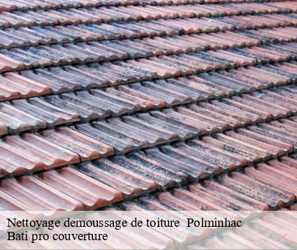 Nettoyage demoussage de toiture   polminhac-15800 Bati pro couverture