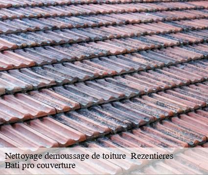 Nettoyage demoussage de toiture   rezentieres-15170 Bati pro couverture