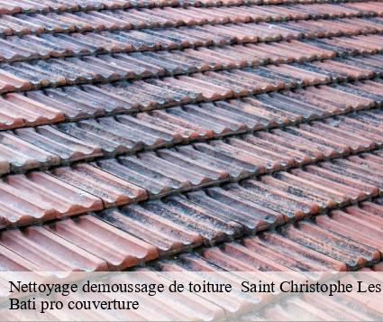Nettoyage demoussage de toiture   saint-christophe-les-gorges-15700 Bati pro couverture