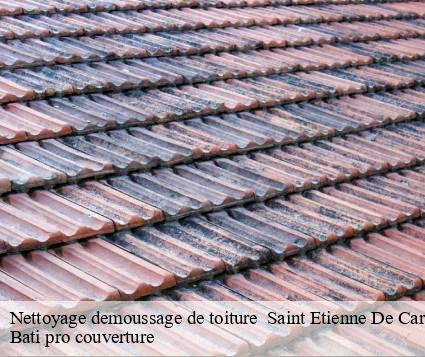 Nettoyage demoussage de toiture   saint-etienne-de-carlat-15130 Bati pro couverture
