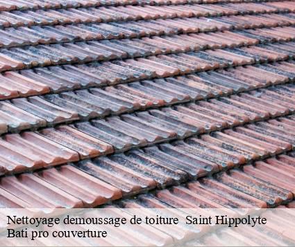 Nettoyage demoussage de toiture   saint-hippolyte-15400 Bati pro couverture