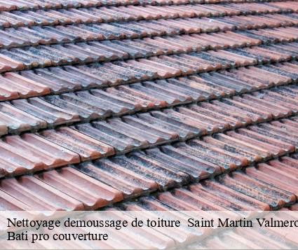 Nettoyage demoussage de toiture   saint-martin-valmeroux-15140 Bati pro couverture