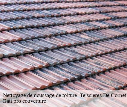 Nettoyage demoussage de toiture   teissieres-de-cornet-15250 Bati pro couverture