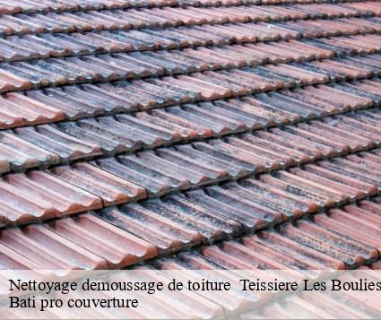 Nettoyage demoussage de toiture   teissiere-les-boulies-15130 Bati pro couverture
