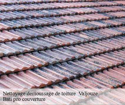 Nettoyage demoussage de toiture   valjouze-15170 Bati pro couverture