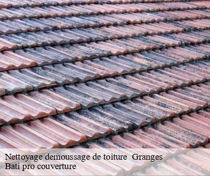 Nettoyage demoussage de toiture   granges-15270 Bati pro couverture