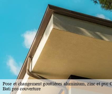 Pose et changement gouttières aluminium, zinc et pvc  chanterelle-15190 Bati pro couverture