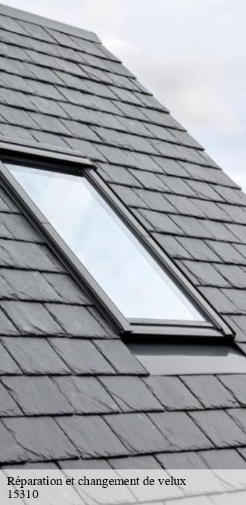 Réparation et changement de velux  freix-anglards-15310 Bati pro couverture