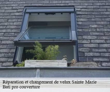 Réparation et changement de velux  sainte-marie-15230 Bati pro couverture