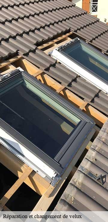 Réparation et changement de velux  le-vigean-15200 Bati pro couverture