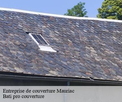 Entreprise de couverture  mauriac-15200 Bati pro couverture