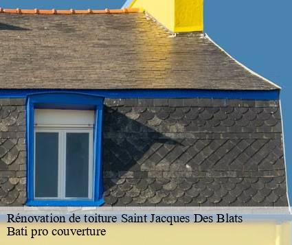 Rénovation de toiture  saint-jacques-des-blats-15580 Bati pro couverture