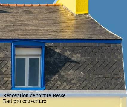 Rénovation de toiture  besse-15140 Bati pro couverture