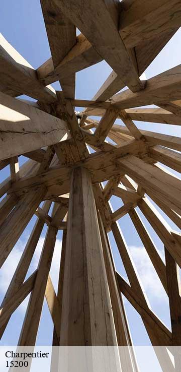 Charpentier  mauriac-15200 Bati pro couverture