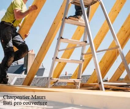 Charpentier  maurs-15600 Bati pro couverture