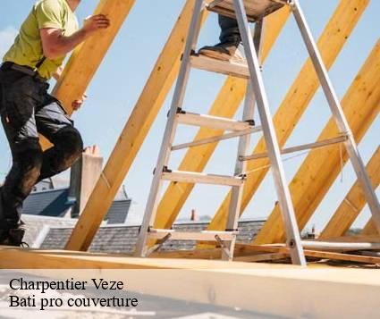 Charpentier  veze-15160 Bati pro couverture