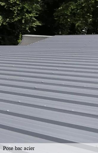 Pose bac acier  badailhac-15800 Bati pro couverture