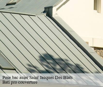Pose bac acier  saint-jacques-des-blats-15580 Bati pro couverture