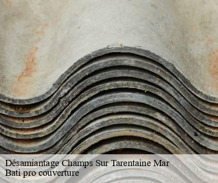 Désamiantage  champs-sur-tarentaine-mar-15270 Bati pro couverture