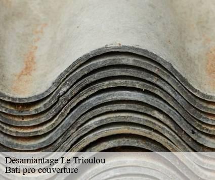 Désamiantage  le-trioulou-15600 Bati pro couverture
